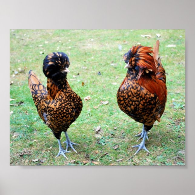 Pôster O amor está no ar (Frente)