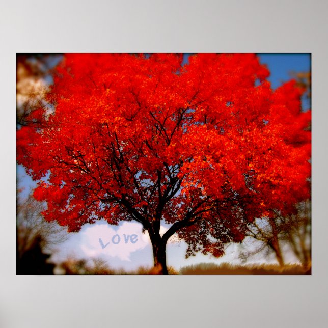 Pôster O amor está no ar (Frente)