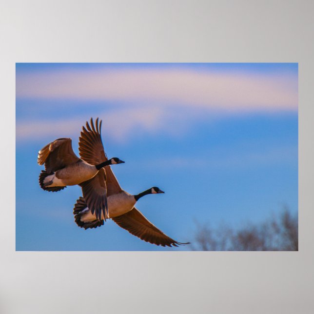 Poster o amor fica junto (Frente)