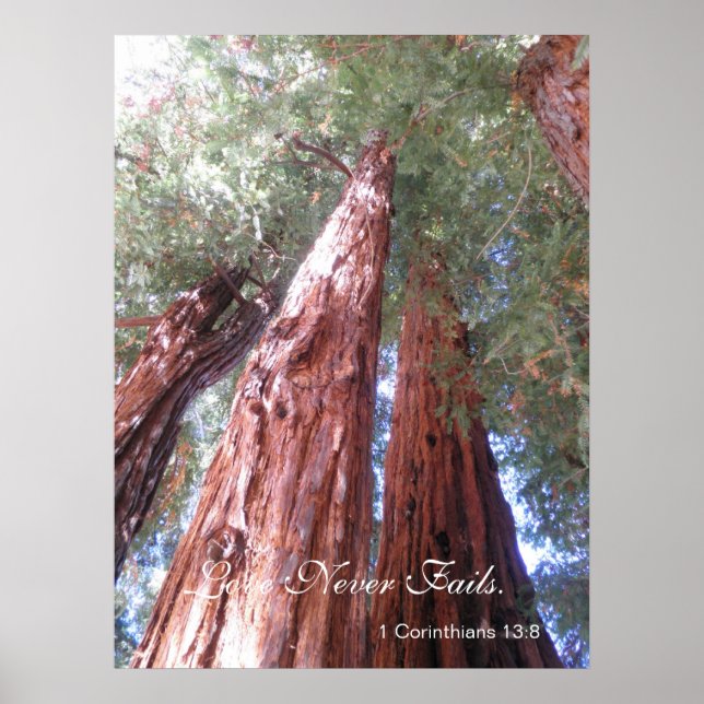 Pôster O amor nunca falha (Frente)