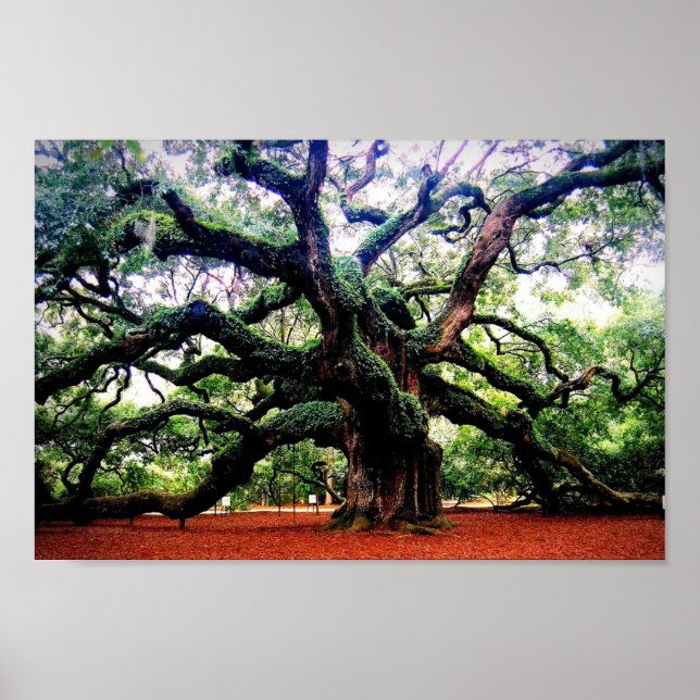 Poster O Angel Oak (Frente)