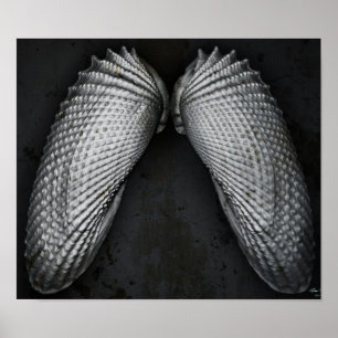 Pôster O anjo voa BW