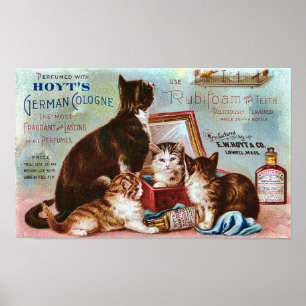 Pôster O anúncio alemão de Colônia Vintage de Hoyt