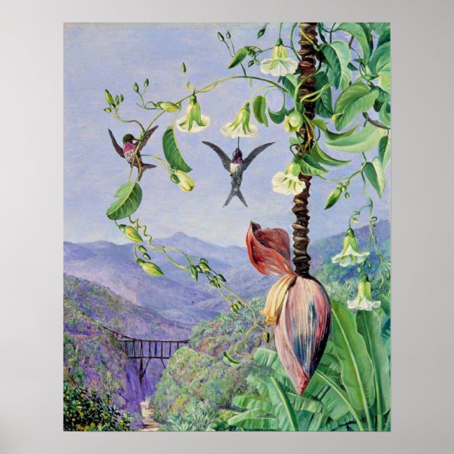 Poster O Aqueduto de Morro Velho (Frente)