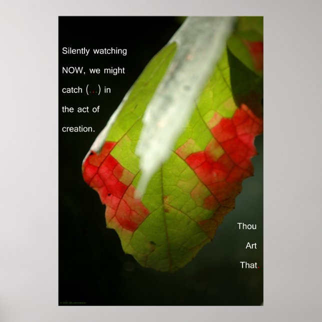 Pôster O ato de criação (Frente)