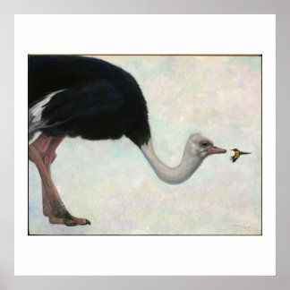 Poster O avestruz e o beija-flor de Bryn Barnard