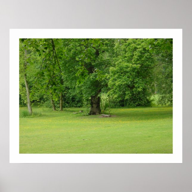 Pôster O balanço (Frente)