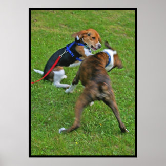 Pôster O Beagle Arruinou A Concorrência...