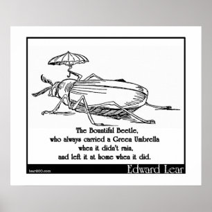 Pôster O besouro beneficiente