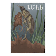 O besouro encontra lama