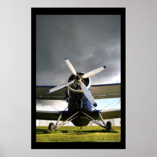 Poster O biplano o maior dos mundos