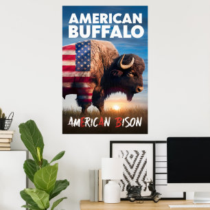 Poster O bisão americano se posiciona em um campo