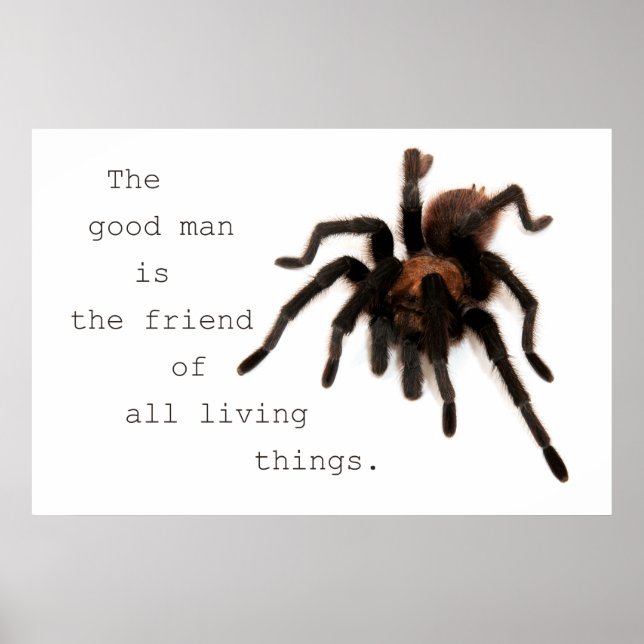 Pôster O Bom Homem (Frente)