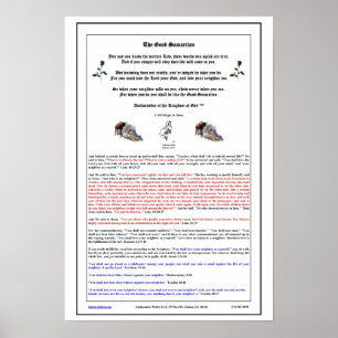 Pôster O Bom Samaritano