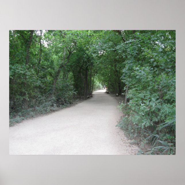 Poster O Bosque Entre os Mundos (Frente)