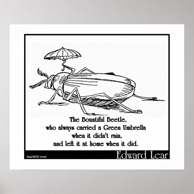 Pôster O Bounely Beetle (Frente)