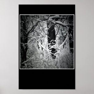 Poster o bower da rainha da neve