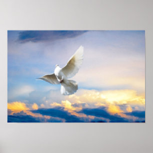 Poster O branco mergulhou em vôo