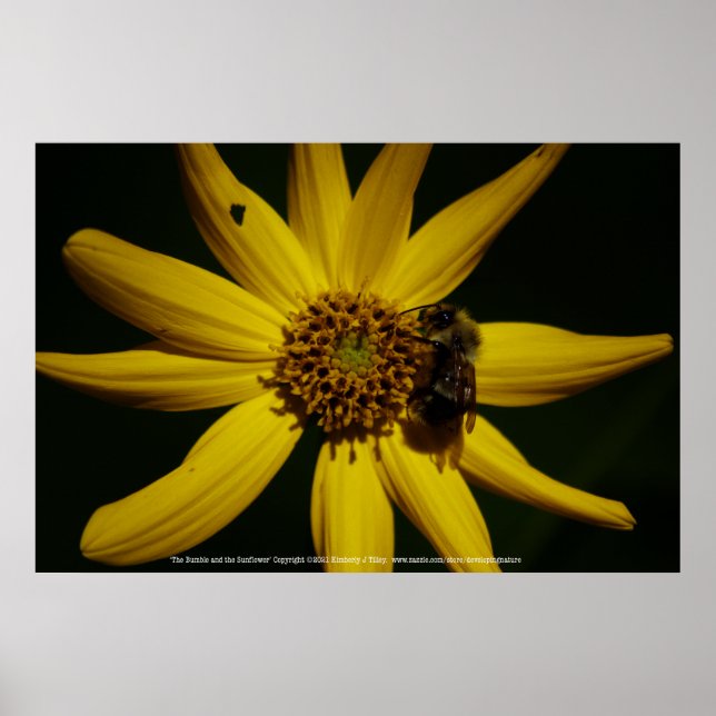 Poster O Bumble e o Girassol (Frente)