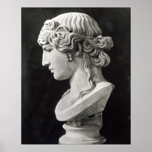 Pôster O busto de Antinous chamou 'Antinous Mondragone