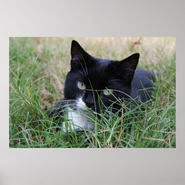 Pôster O caçador em repouso (Frente)