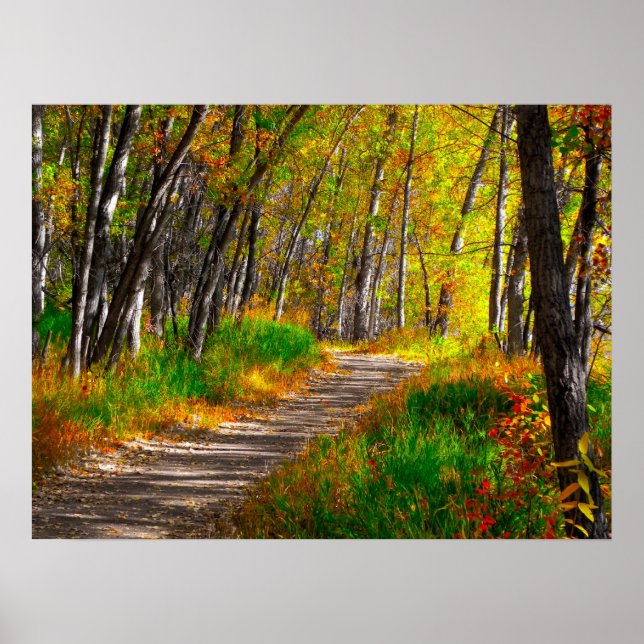 Pôster O caminho (Frente)