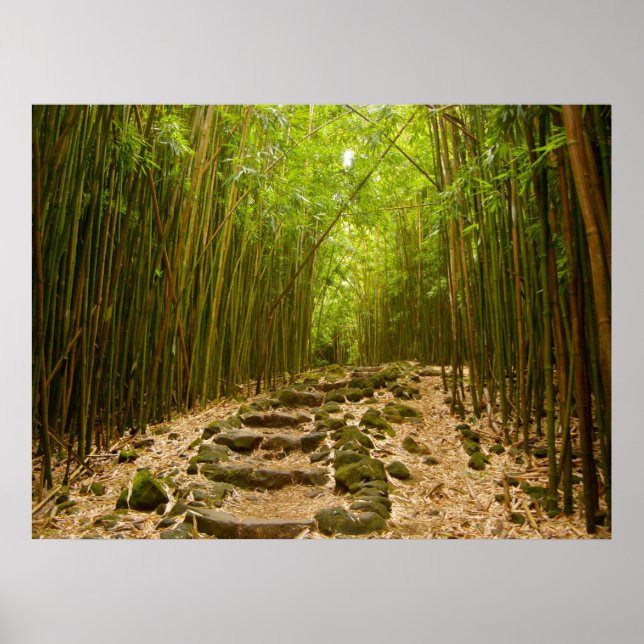 Poster O caminho (Frente)