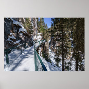 Poster O caminho congelado da beleza para Johnson Creek U