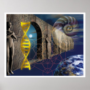 Pôster O Caminho da Evolução