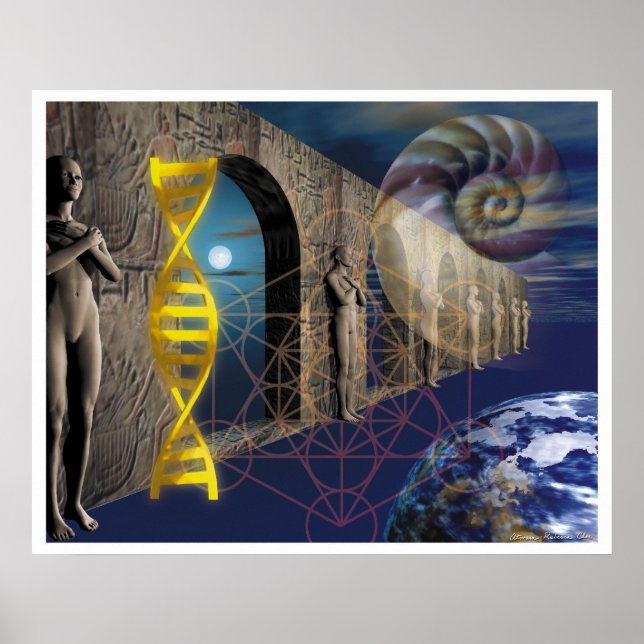 Pôster O Caminho da Evolução (Frente)