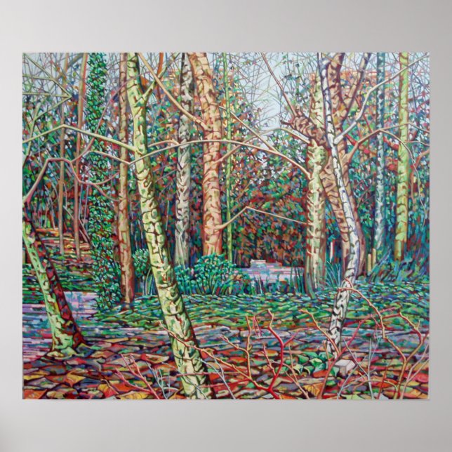 Pôster O Caminho de Janeiro (Frente)