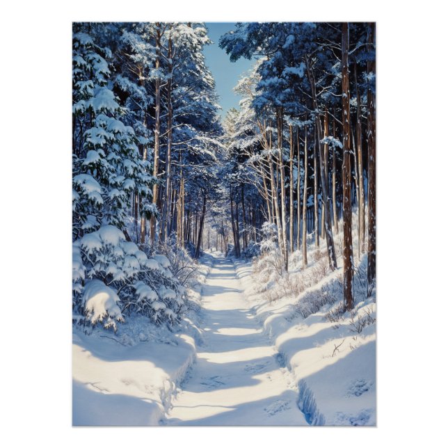 Pôster O caminho do inverno (Frente)