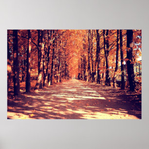 Poster O caminho na floresta do outono