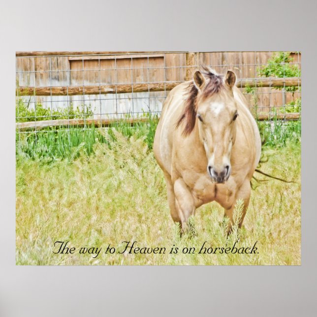 Pôster O caminho para o céu (Frente)