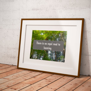 Poster O caminho real para a aprendizagem da sabedoria pr