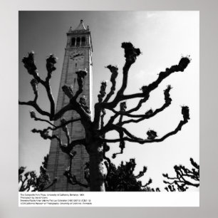 Pôster O Campanile de Plaza, Uc Berkeley, 1964