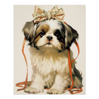 Pôster O Cão Shih Tzu 001 - Odessa Leyendecker