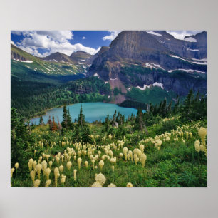 Poster O capim acima do Lago Grinnell, em Muitos