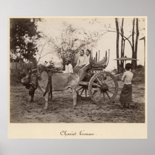 Pôster O carro puxou por dois bois em Mandalay, Burma
