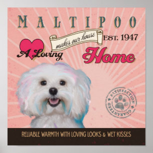 Poster O cartaz da arte do cão de Maltipoo faz nossa cas