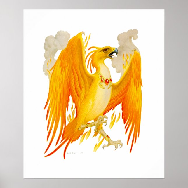 Pôster O Cartaz da Fênix (Frente)