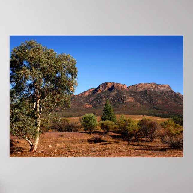 Poster O Cartaz do Outback Australiano (Frente)