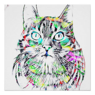 PÔSTER O CAT