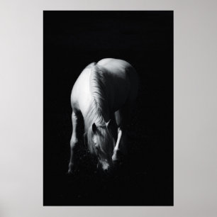Poster O cavalo branco