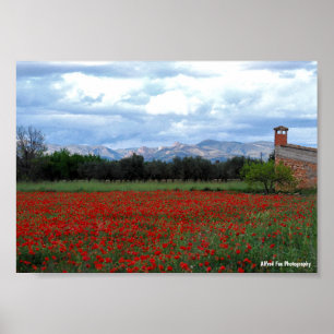 Poster O Celeiro Rural no Campo de Papoulas