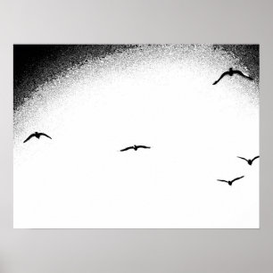 Pôster O céu infinito