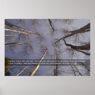 Poster O céu não é o limite...