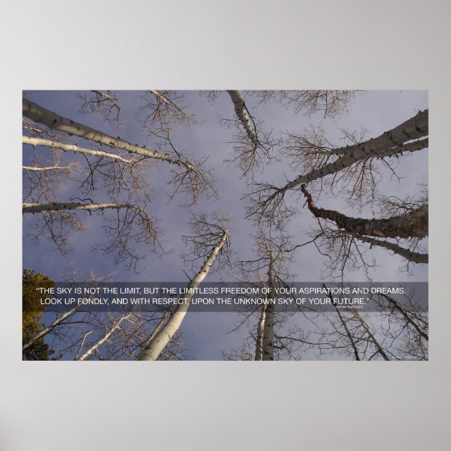 Poster O céu não é o limite... (Frente)