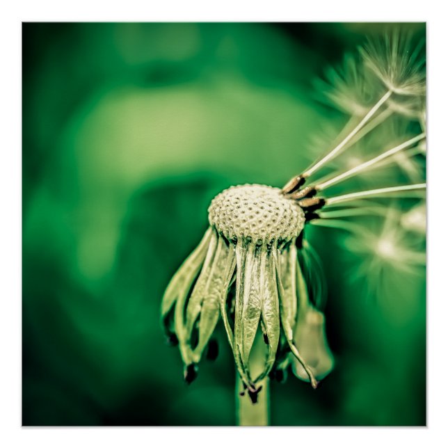 Pôster O Chefe (Frente)