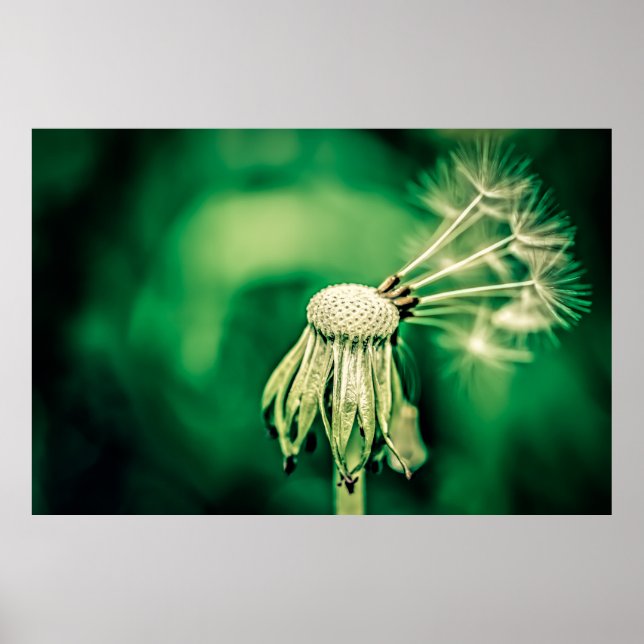 Poster O Chefe (Frente)